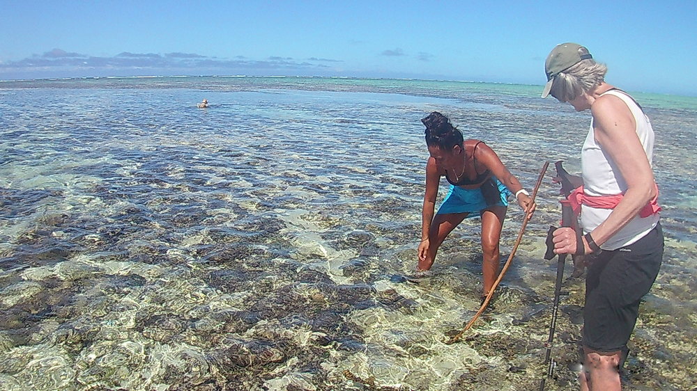 Kura & Pam Searching the Reef